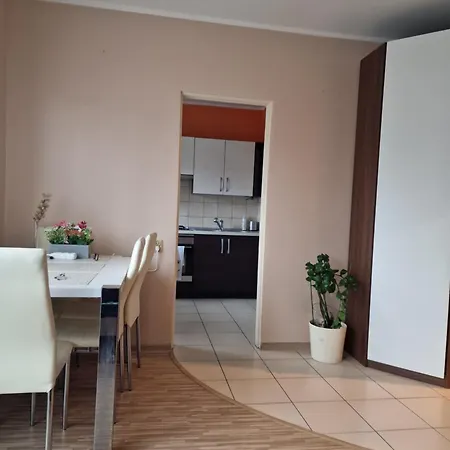 Serce Retkinii, Blisko Zoo, Atlas Arena