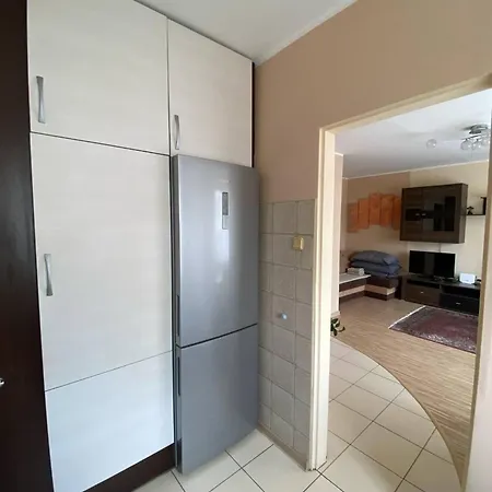 Serce Retkinii, Blisko Zoo, Atlas Arena Apartmán Lodž