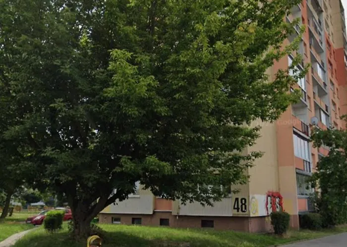 Serce Retkinii, Blisko Zoo, Atlas Arena Łódź