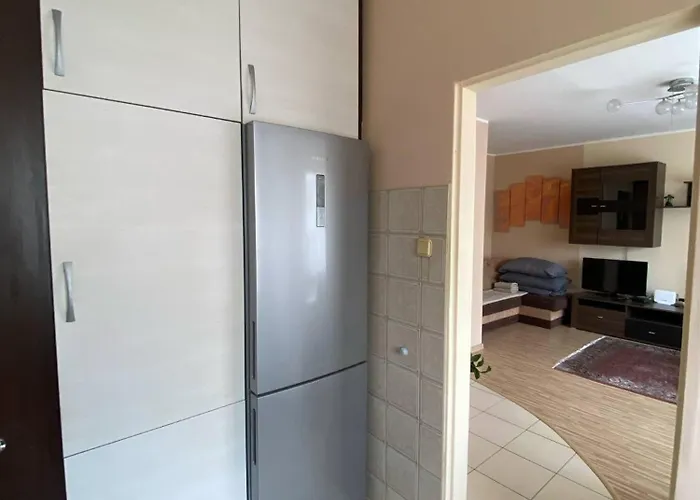 Serce Retkinii, Blisko Zoo, Atlas Arena Apartamento Łódź